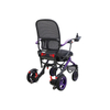 NXN20-213 Carbon Fiber Lightweight Electric Wheelchair