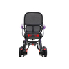 NXN20-213 Carbon Fiber Lightweight Electric Wheelchair